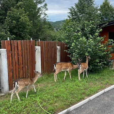 Licina - Bjelasnica Holiday home *